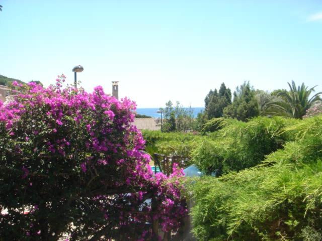 Villa Rosetta شيا المظهر الخارجي الصورة