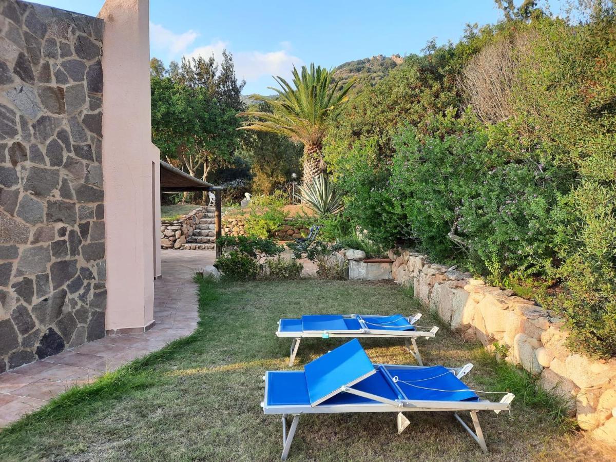 Villa Rosetta شيا المظهر الخارجي الصورة